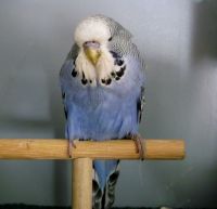 WS-Babys 2014 008.JPG